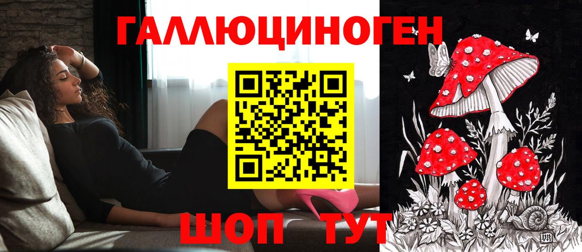 Сертолово  Галлюциногенные грибы Cubensis  даркнет сайт  Вход с VPN 